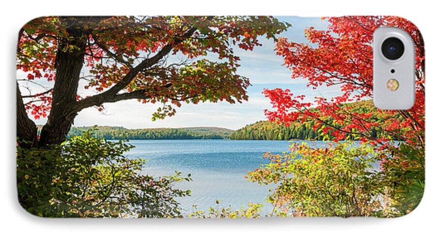 Fall iPhone 7 Case featuring the photograph Autumn lake by Elena Elisseeva