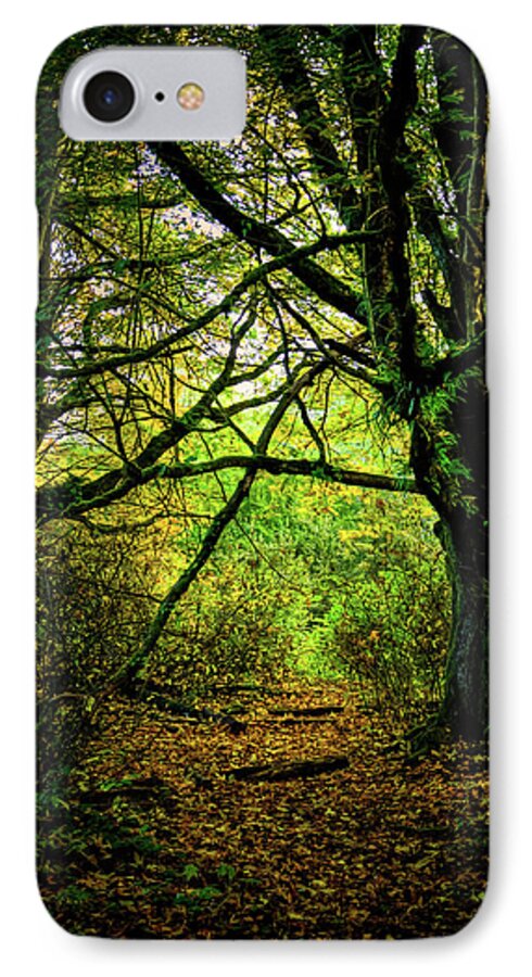 Autumn Light iPhone 7 Case featuring the photograph Autumn Light by David Patterson