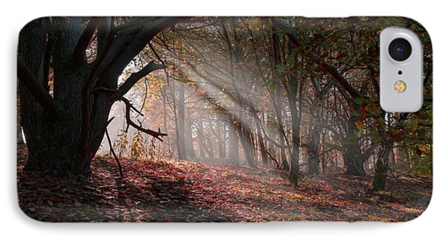 Autumn iPhone 7 Case featuring the photograph Autumn Light by Scott Carruthers