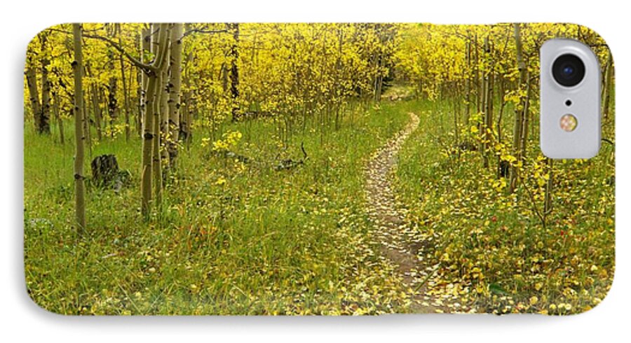 Colorado Rockymountains Autumn Golden Leaves Path Hike Walk Aspen iPhone 7 Case featuring the photograph Autumn path by George Tuffy