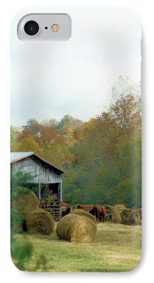 Animals iPhone 7 Case featuring the photograph Back At The Barn by Jan Amiss Photography