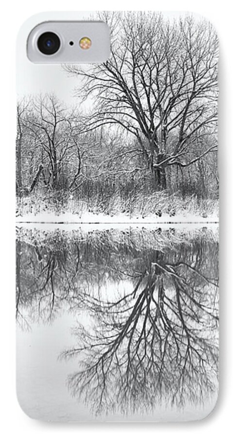 Trees iPhone 7 Case featuring the photograph Bare Trees by Darren White