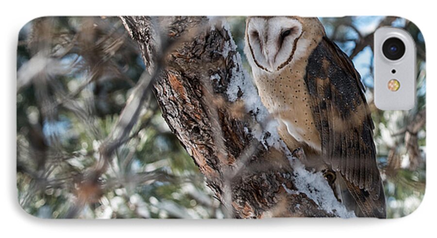 America iPhone 7 Case featuring the photograph Barn Owl by Art Atkins