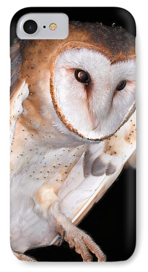 Owl Collection iPhone 7 Case featuring the photograph Barn owl by Jean Noren