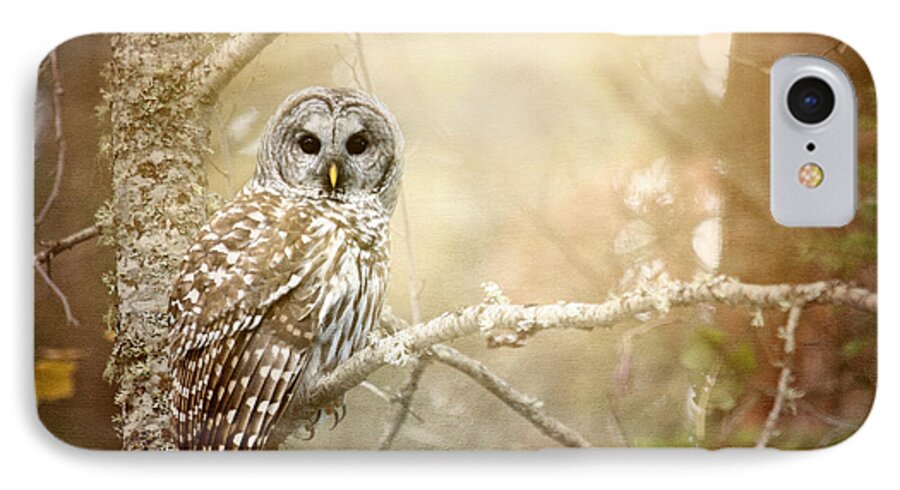 Barred Owl iPhone 7 Case featuring the photograph Barred Owl - Woodland Fellow by Beve Brown-Clark Photography