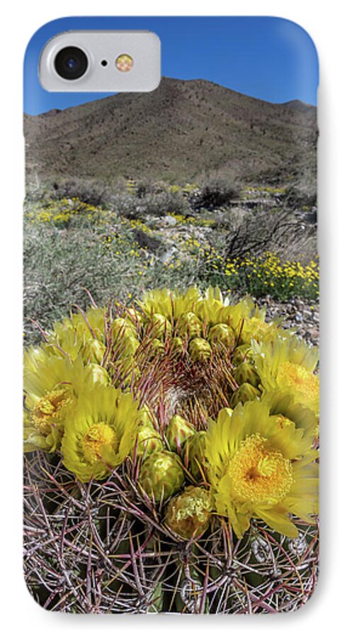 Anza-borrego Desert iPhone 7 Case featuring the photograph Barrel Cactus Super Bloom by Peter Tellone