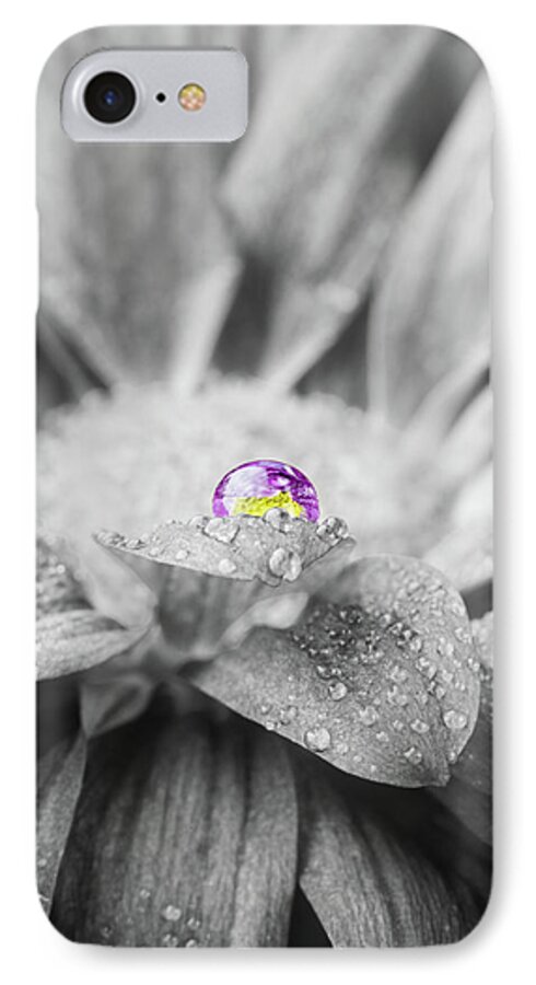 Colorsplash iPhone 7 Case featuring the photograph Beautiful Splash of Purple on a Daisy in the Garden by Tammy Ray