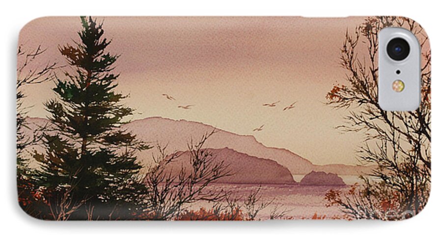 Shore iPhone 7 Case featuring the painting Beauty at the Shore by James Williamson