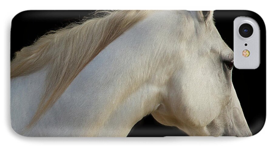 Horse iPhone 7 Case featuring the photograph Beauty by Sharon Jones