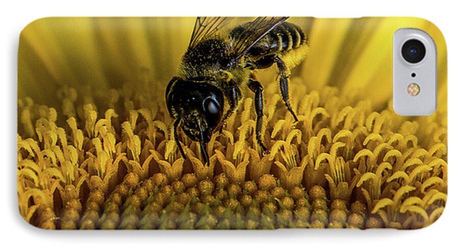 Bee iPhone 7 Case featuring the photograph Bee in a Sunflower by Paul Freidlund