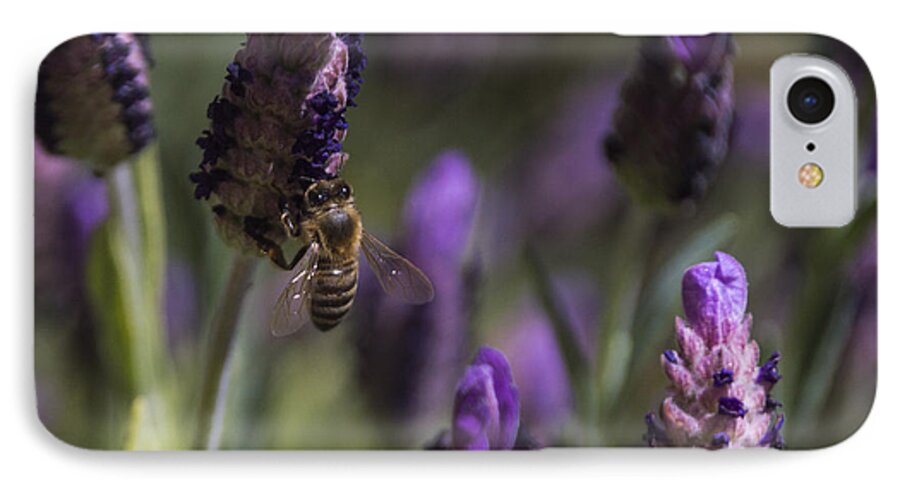 Bee iPhone 7 Case featuring the photograph Bee's Delight by Laura Pratt