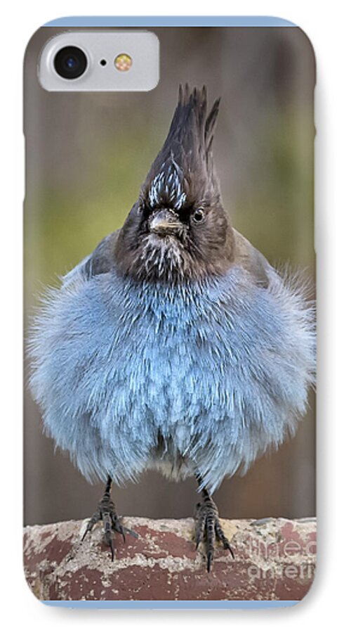 Animal iPhone 7 Case featuring the photograph Big Blue by Alice Cahill