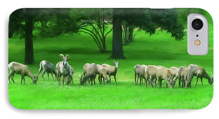 Ovis Canadensis iPhone 7 Case featuring the painting Bighorn Sheep Ewes by Flees Photos