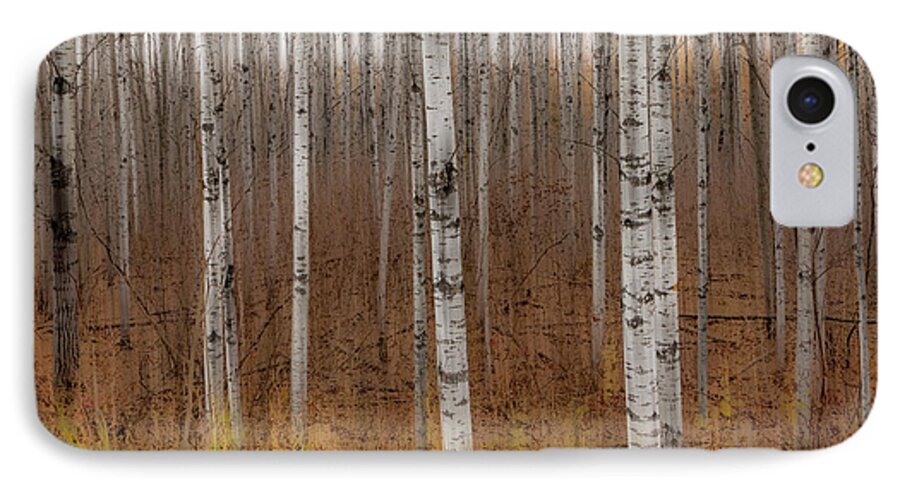 Trees iPhone 7 Case featuring the photograph Birch Trees Abstract #2 by Patti Deters