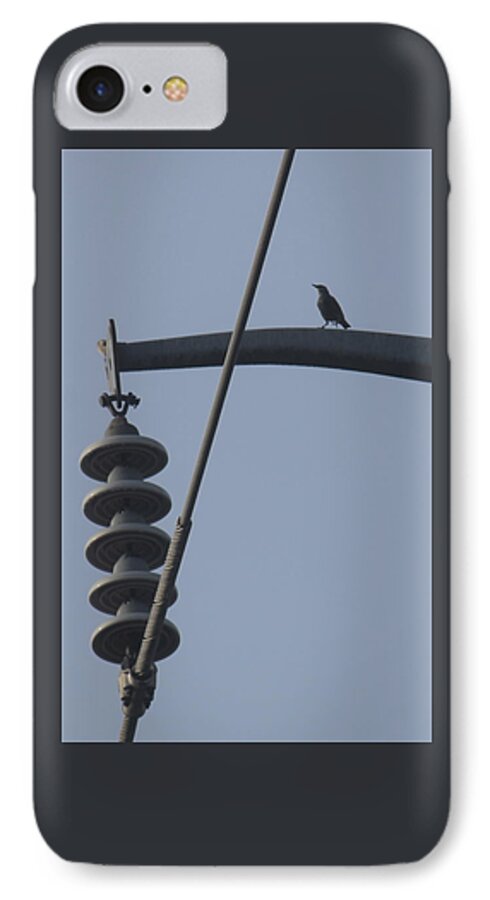 Bird iPhone 7 Case featuring the photograph Bird on a high wire by Sheri Simmons