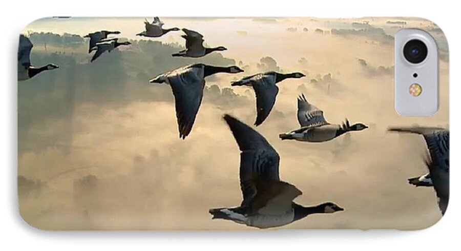 Birds iPhone 7 Case featuring the photograph Birds in Flight by Digital Art Cafe
