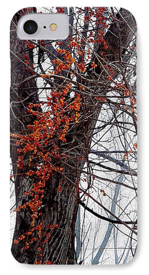 Bittersweet iPhone 7 Case featuring the photograph Bittersweet by Joy Nichols