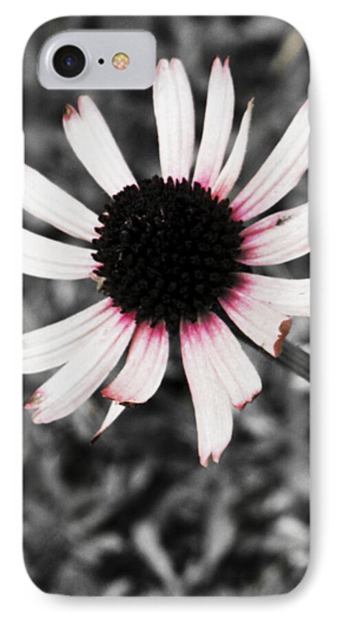 Flower iPhone 7 Case featuring the photograph Black Eyed by Deborah Crew-Johnson