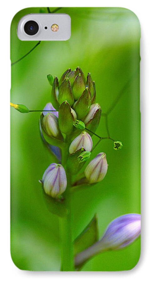 Nature iPhone 7 Case featuring the photograph Blossom Dream by Ben Upham III