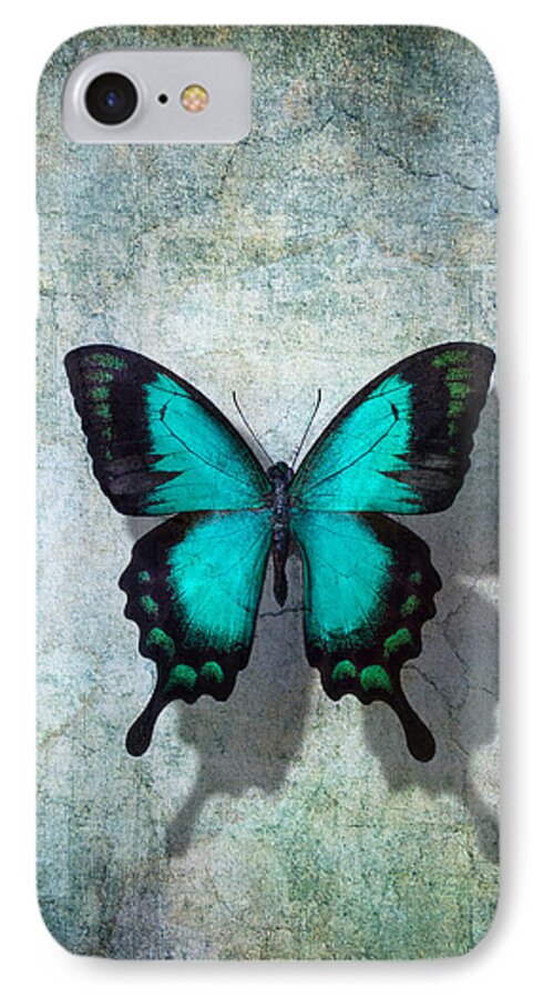 Still Life iPhone 7 Case featuring the photograph Blue Butterfly Resting by Garry Gay