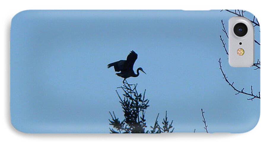 Blue Heron iPhone 7 Case featuring the photograph Blue Heron Dance by Lisa Rose Musselwhite
