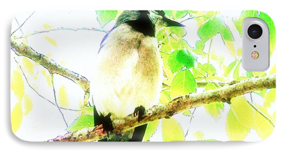 Bluejay iPhone 7 Case featuring the photograph Blue Jay III by Clarice Lakota