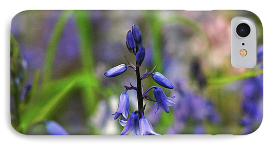 Bluebell iPhone 7 Case featuring the photograph Bluebell by Martina Fagan