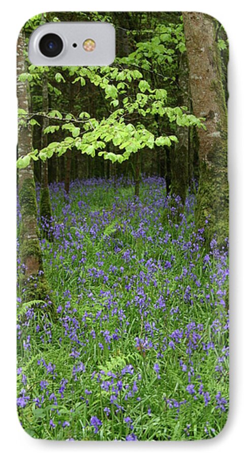 Green iPhone 7 Case featuring the photograph Bluebell Woods by Martina Fagan