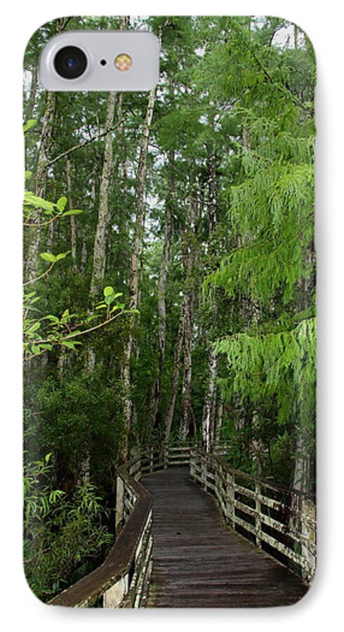 Bald Cypress Tree iPhone 7 Case featuring the photograph Boardwalk through the Bald Cypress Strand by Barbara Bowen