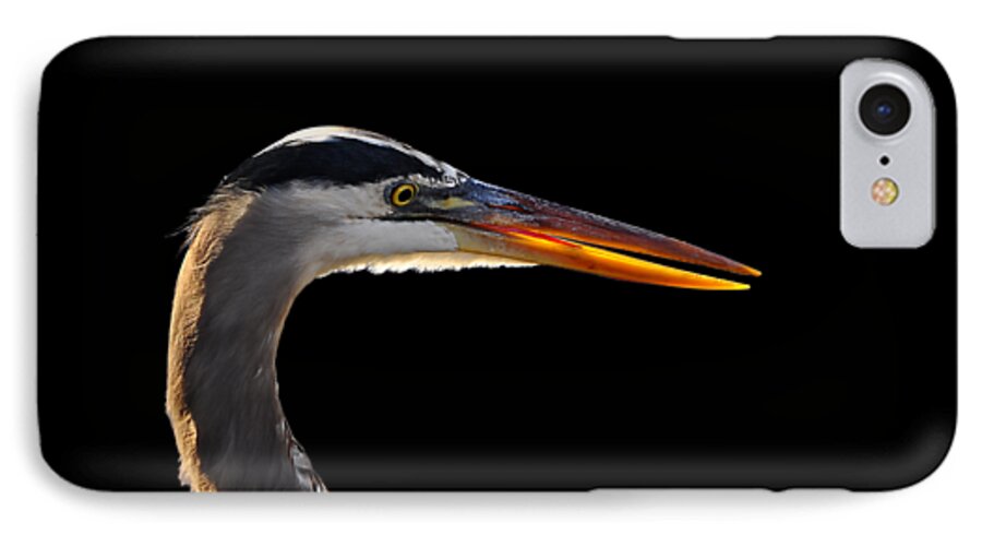 Great Blue Heron iPhone 7 Case featuring the photograph Bright Beak Blue .png by Al Powell Photography USA