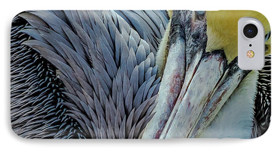 Beak iPhone 7 Case featuring the photograph Brown Pelican by Bill Gallagher