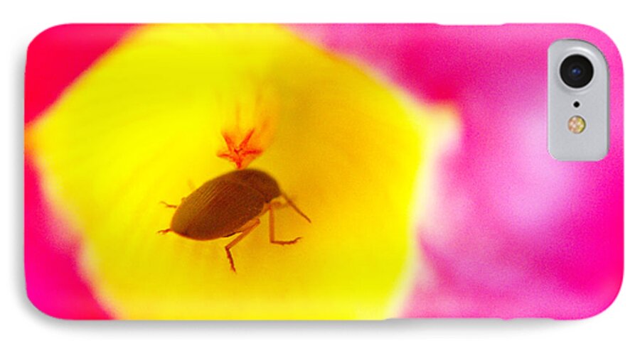 Animal iPhone 7 Case featuring the photograph Bug In Pink And Yellow Flower by Ben and Raisa Gertsberg