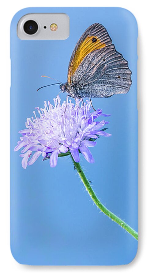 Butterfly iPhone 7 Case featuring the photograph Butterfly by Jaroslaw Grudzinski