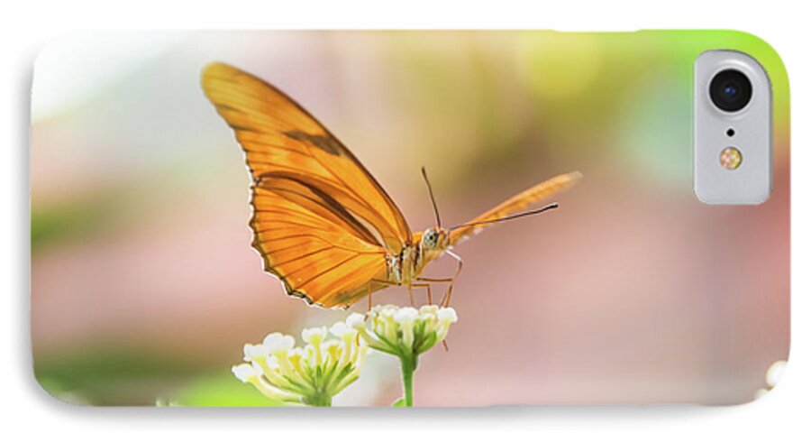 Butterfly iPhone 7 Case featuring the photograph Butterfly - Julie Heliconian by Pamela Williams