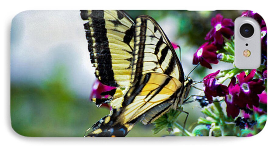 Butterflies iPhone 7 Case featuring the photograph Butterfly on Purple Flowers by Wendy Carrington