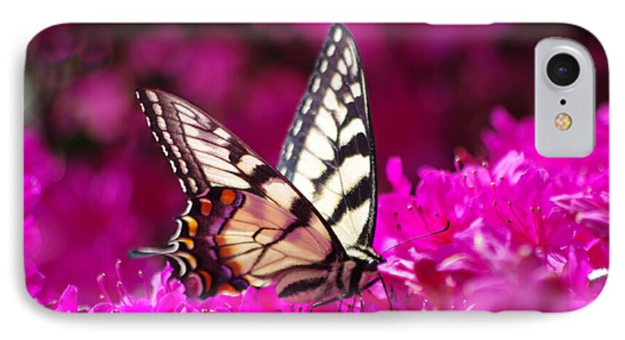 Butterfly iPhone 7 Case featuring the photograph Butterfly1 by Gerald Kloss