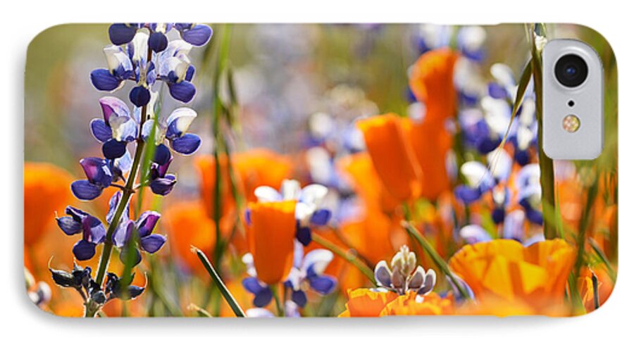 California iPhone 7 Case featuring the photograph California Poppies and Lupine by Kyle Hanson