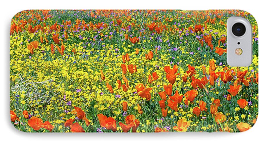 California Wildflowers iPhone 7 Case featuring the photograph California Wildflower Super Bloom by Ram Vasudev