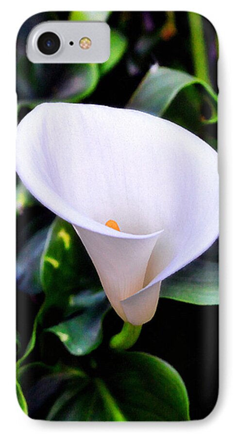 Calla Lily iPhone 7 Case featuring the photograph Calla Lily by Glenn McCarthy Art and Photography