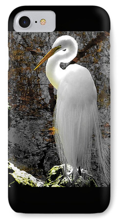 Great Egret iPhone 7 Case featuring the photograph Cloaked by Judy Wanamaker