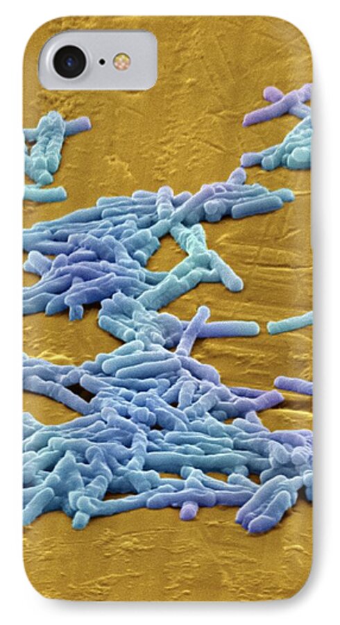 Clostridium Difficile iPhone 7 Case featuring the photograph Clostridium Difficile Bacteria, Sem by David Mccarthy