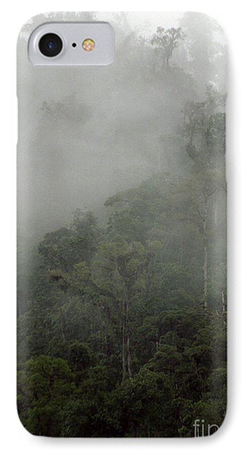 Rainforest iPhone 7 Case featuring the photograph Cloud Forest by Kathy McClure