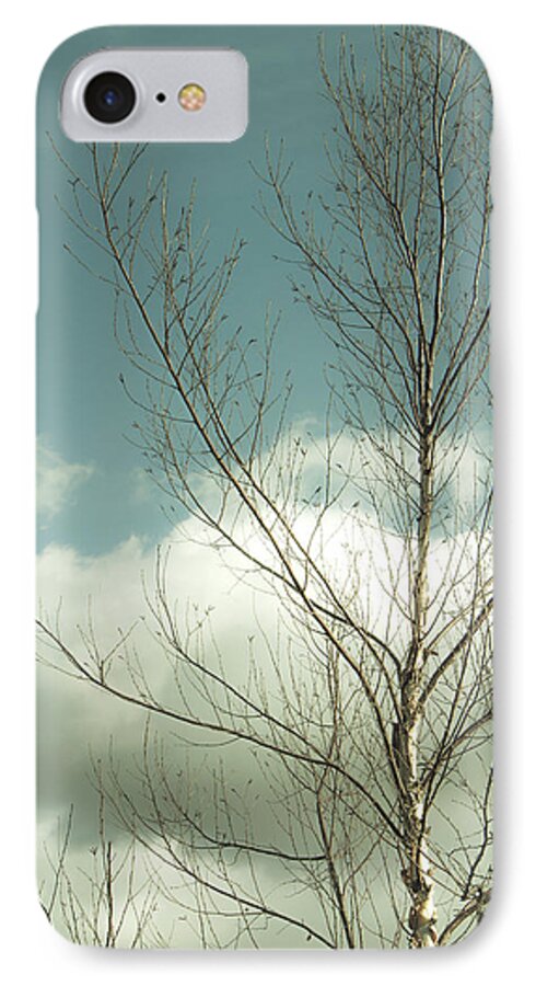 Tree Top iPhone 7 Case featuring the photograph Cloudy Blue Sky Through Tree Top No 2 by Ben and Raisa Gertsberg