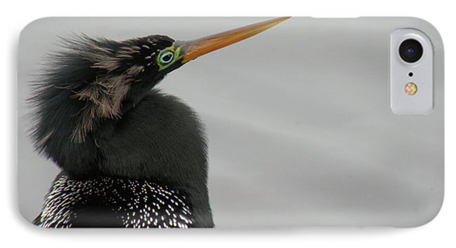 Anhinga iPhone 7 Case featuring the photograph Colorful Anhinga by Rosalie Scanlon