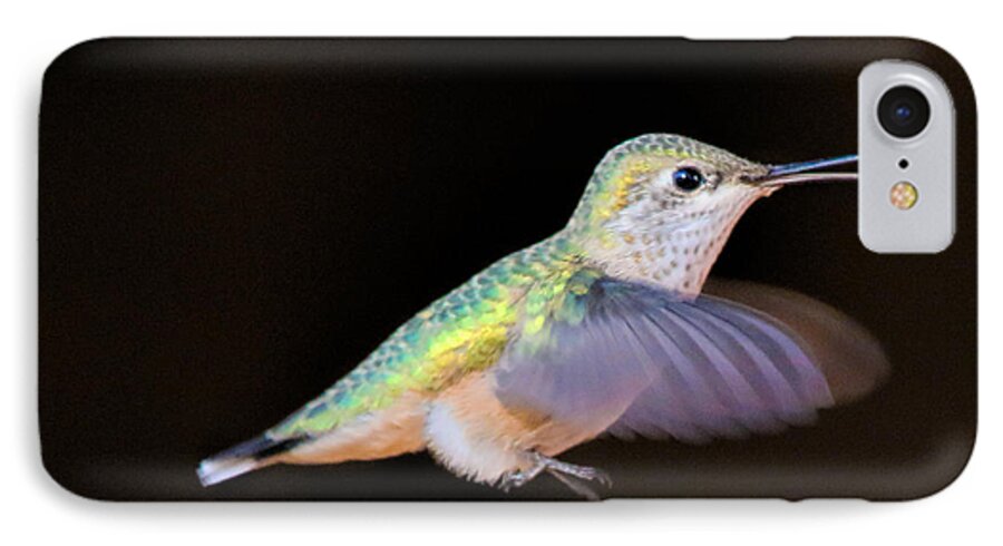 Hummingbird iPhone 7 Case featuring the photograph Colorful Hummingbird by Dorothy Cunningham