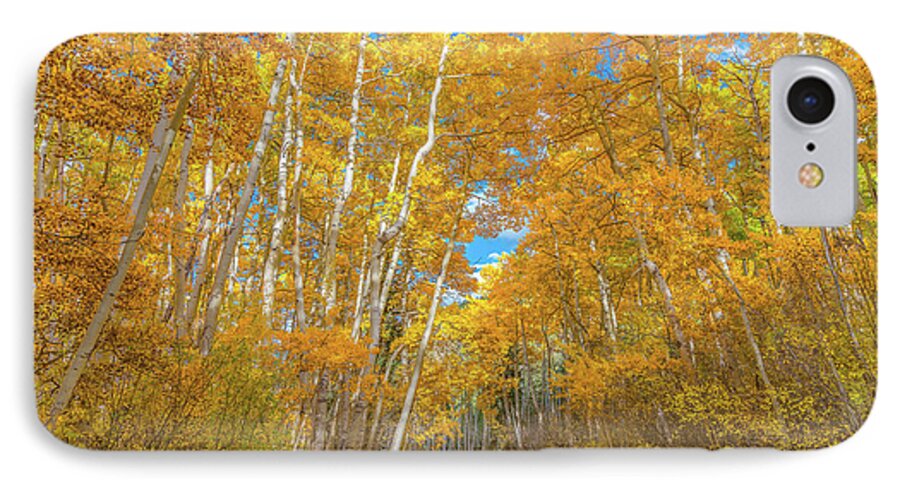 Fall iPhone 7 Case featuring the photograph Colors of Fall by Darren White