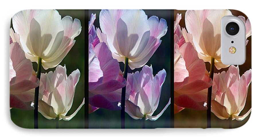 Coloured Tulips iPhone 7 Case featuring the photograph Coloured Tulips by Robert Meanor