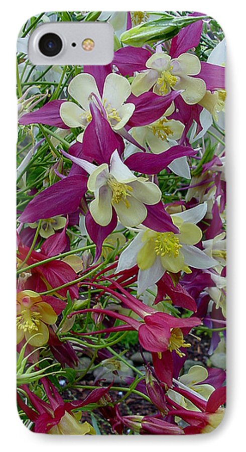 Green iPhone 7 Case featuring the photograph Columbine by Shirley Heyn