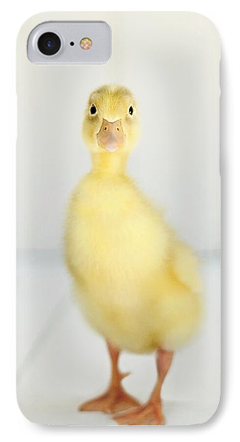 Duck iPhone 7 Case featuring the photograph Come Play With Me by Amy Tyler
