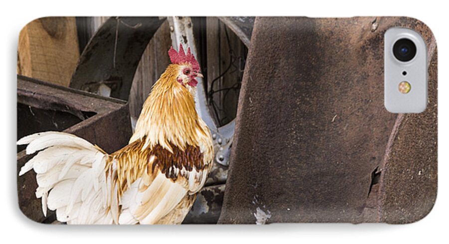 Chicken iPhone 7 Case featuring the photograph Contemplating Rust by Laura Pratt